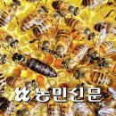 농촌진흥청(국립농업과학원) Daum카페