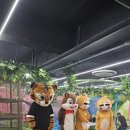 팡팡노래방 | 안산 선부동에서 놀이공원 온 줄! 8세랑 둘이 제대로 놀고 온 정글팡팡 키즈카페 찐후기 💚