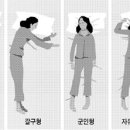 2811 이미지