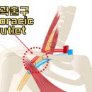 척척한의원 이미지