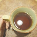 빈스 컴퍼니 이미지