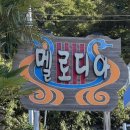 멜로디아 펜션 | [거제도 펜션 추천] 오션뷰인데 가성비도 좋은 멜로디아 펜션, 솔직후기 주차 가격