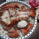 연참치 이미지
