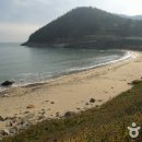 관매도 해수욕장 Daum카페