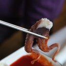 다미회집 이미지