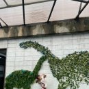 우석헌자연사박물관 이미지