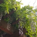 길주공원 이미지