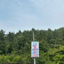 힐링하우스 | 완도 청산도 독채 펜션 힐링하우스 숙소 예약 후기