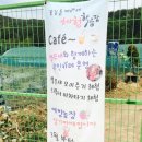 꽃길을 따라서 체험학습장 이미지