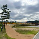 기흥호수공원 이미지