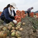 화려한변신 - 경산시 | 화려한변신