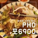 포(PHO)6900
