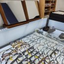 안보이면 안경원가975 잘보여요 이미지