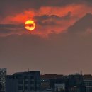 필제주 게스트하우스 이미지