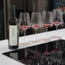 배고픈사자 협동조합 | 브루노 로카, 바르바레스코(Bruno Rocca, Barbaresco) 2020