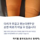 하지웰심장혈관흉부외과의원 | 금정구 하지정맥류 초기증상, 동래역 혈관외과 하지웰 흉부외과