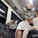 오키키키