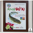 청궁식당 | 대구 매운탕 맛집 문양역 인근 청궁매운탕 빠가사리 맛투어