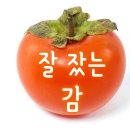 가을비 내리는아침 이미지