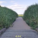 저팔계 - 달서구 | 저팔계