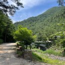 삼척활기자연휴양림 이미지