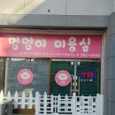 댕댕이 애견샵 이미지