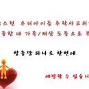 침입방지 방범방충망/추락방지 안전방충망 - 세이프존에 맡겨주세요 1588-8156 이미지