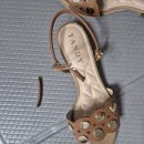벨라 반려 일기 3 (친구 두나와 행복한 산책) 이미지
