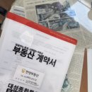 팔방원공인중개사사무소 | 서울 월세 자취방 빌라 구하기 원룸 가격에 쓰리룸 얻은 부동산 내돈내산 한양공인중개사무소 추천