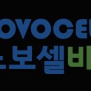 노보셀바이오
