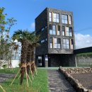 또시오라 이미지