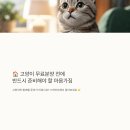 명심축산 | 고양이 무료분양 사이트 알아보기