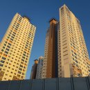 미진이지비아 이미지