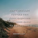 새로우니