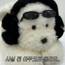 네일마켓 이미지