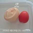 [임신 기록] 임신 26주 5일 아름제일병원 임당 재검 후기 (1차 수치 186)