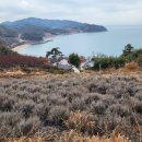 신흥마을회관 이미지