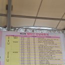 11545-03-26-05 | 부천 진달래 축제 일정 26년 04월 03일 오전 방문 후기 진달래축제 먹거리