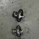 프로카센타 이미지