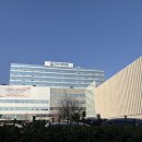 오조산로 7번길 | 계양구청 휘낭시에맛집 도도록 카페 재방문했어요!☕️