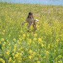 동천민박 이미지