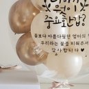 루다제이 이미지