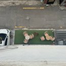 7274 | 완강기 시공 기준 설치 전문업체 후기