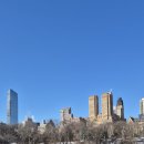 뉴욕핫도그앤커피 | [뉴욕여행]뉴욕 핫도그 맛집 그레이스 파파야스 Gray's Papaya 후기 가격 위치