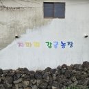 태수농장2 이미지