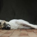 더서울병원 이미지