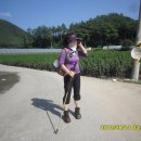 하돌목교 Daum카페