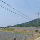 매송부동산중개사무소 이미지