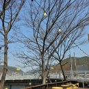 리플유 | 밀양브런치카페 단장면 리플유 내돈내산 후기