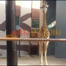 롯데리아(부산초읍) 이미지